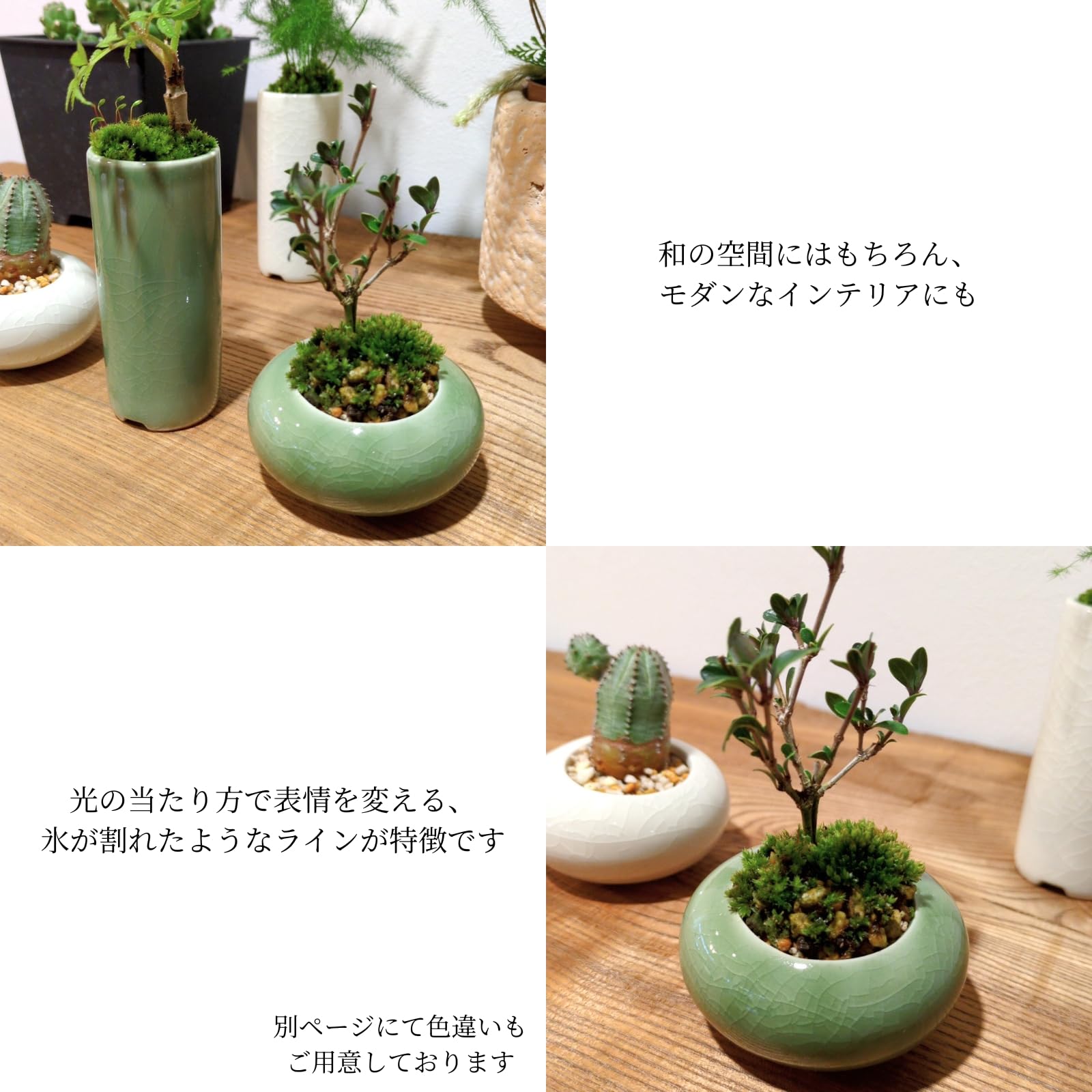 植木鉢 2個セット 陶器鉢 Amazon.co.jp: TUISKU 植木鉢 ミニサイズ 2型セット 筒型 豆鉢 陶器 氷