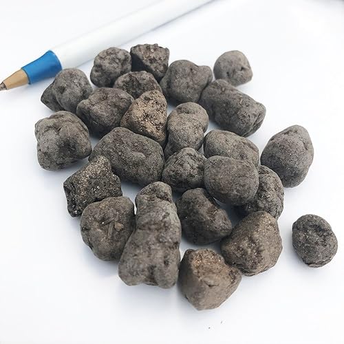 Miniatura 6 de Omakase japonés Bonsai Fertilizante PelletsParent, M