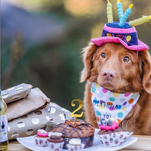 Miniatura 6 de Números del 0 al 9 para decoración de tartas, decoración de pasteles de acrílico brillante, decoración de pasteles para fiesta de cumpleaños, boda,