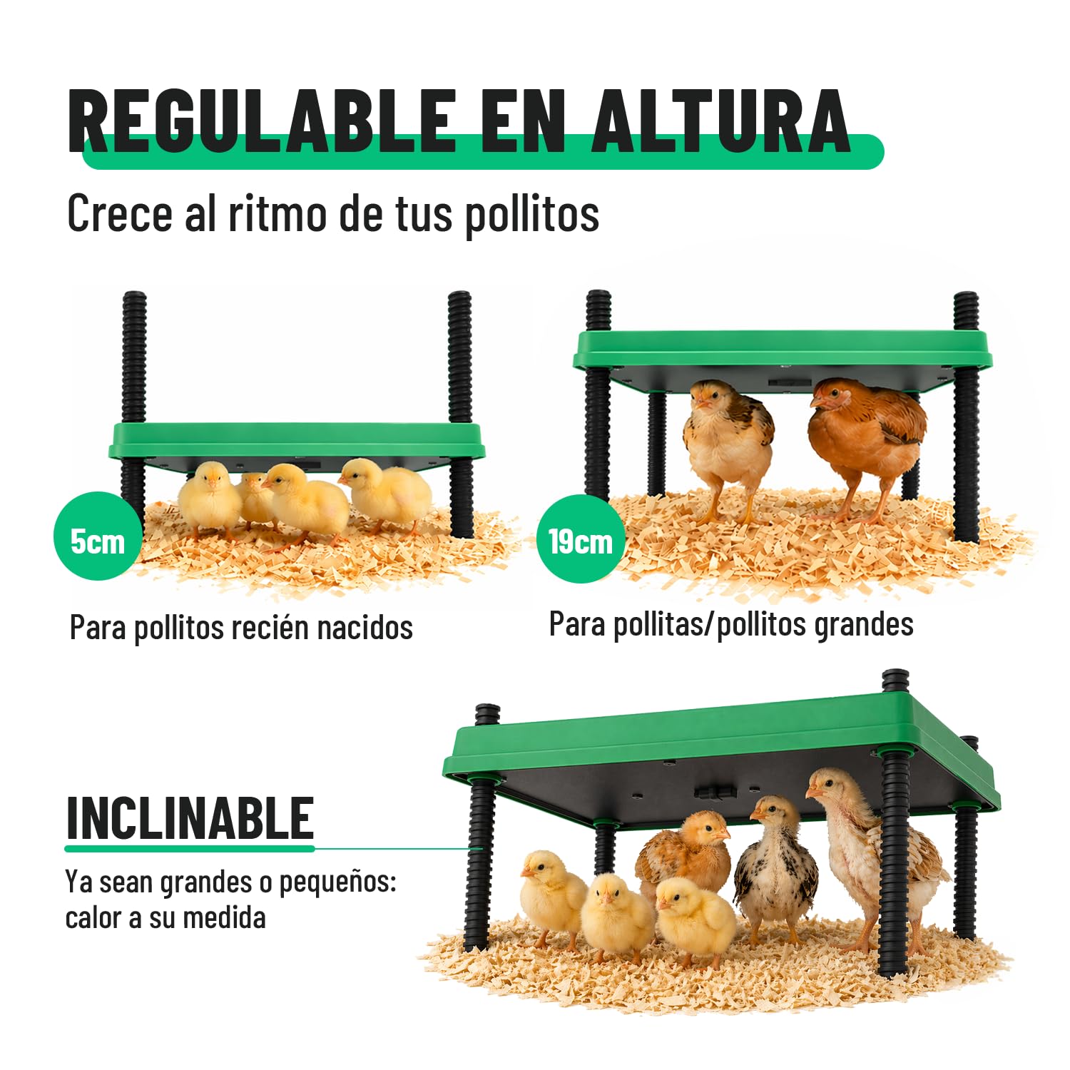 greate Criadora de Pollitos 80 W regulable 10-70 °C con pantalla LED - Calentador para Pajaros altura regulable 30 x 30 cm