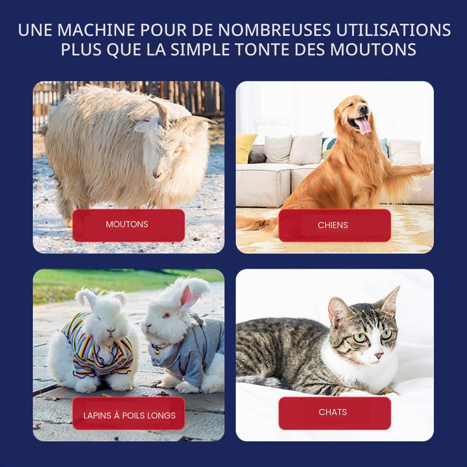 BestAlice Cisaille à Moutons Tondeuse électrique Professionnelle pour Moutons, Tondeuse de Toilettage pour Moutons, Alpagas, Chèvres, 6 Vitesses, Machine de Toilettage pour Chats, Chiens(EU)