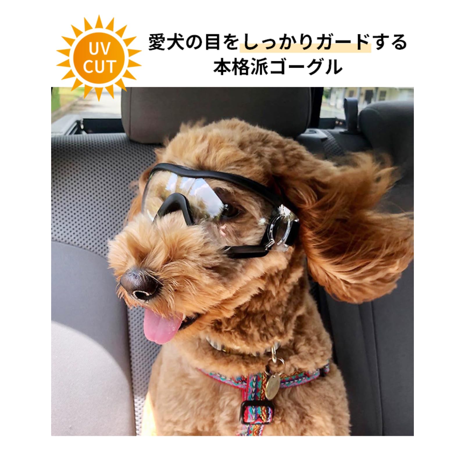 Amazon | 【リニューアル】犬 サングラス ペット用 ゴーグル ミラー