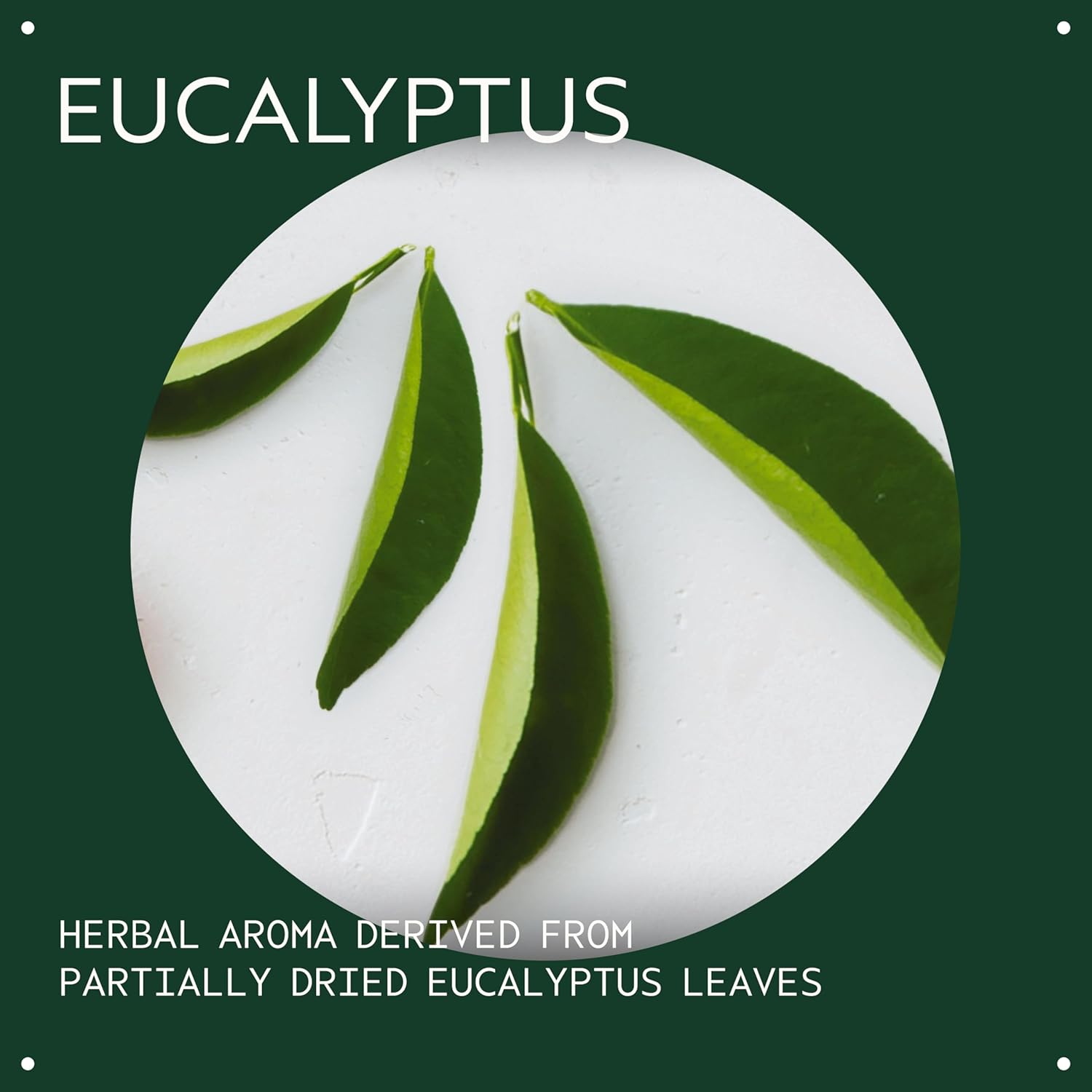 Aveda Eucalyptus Essential Oil + Base | Fresh Aroma | for Body & Bath, 1 Fl Oz - Image 3