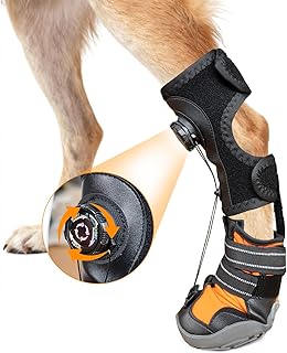 No Knuckling Brace for Dogs