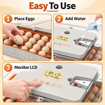 Egg Incubator with Automatic Turning and LCD Control, 56 Eggs