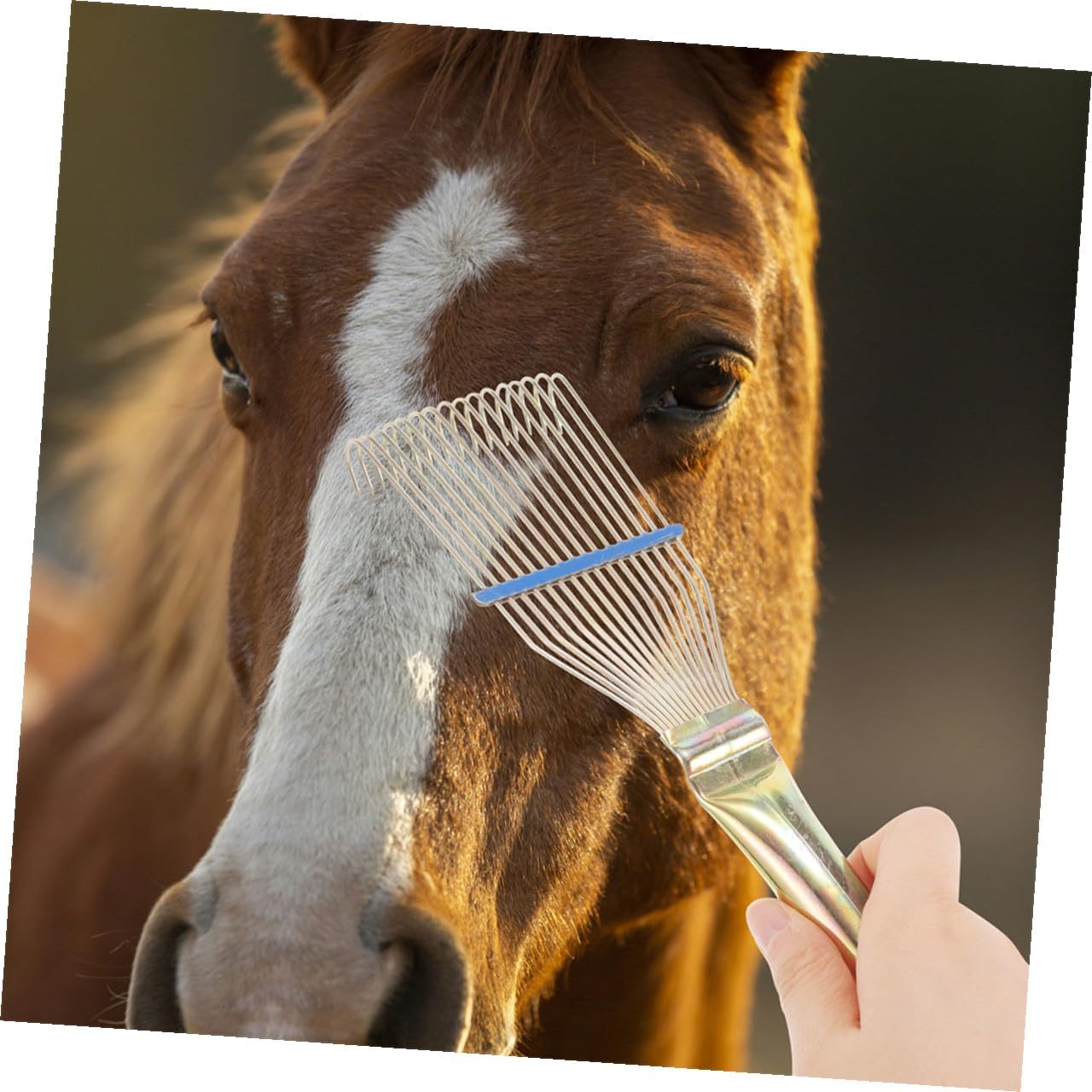 2pcs Livestock Shedding Comb and Wool Brush for Animals, 23cm Small Yellow Wool Grooming Tool with Steel Scratcher for Horse and Cattle Wool Cleaning