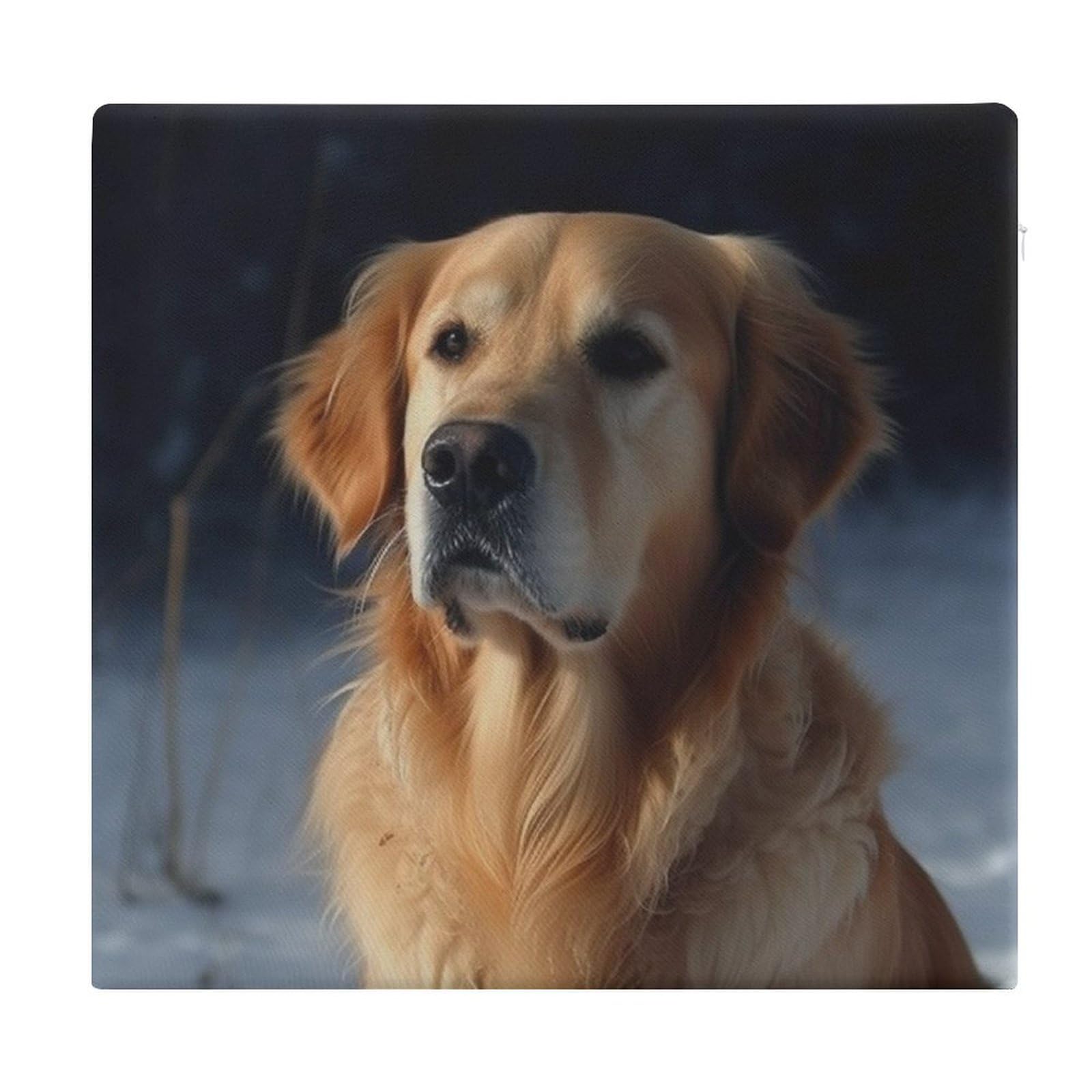 Coussin de siège antidérapant Golden Retriever pour soulager les assises dures