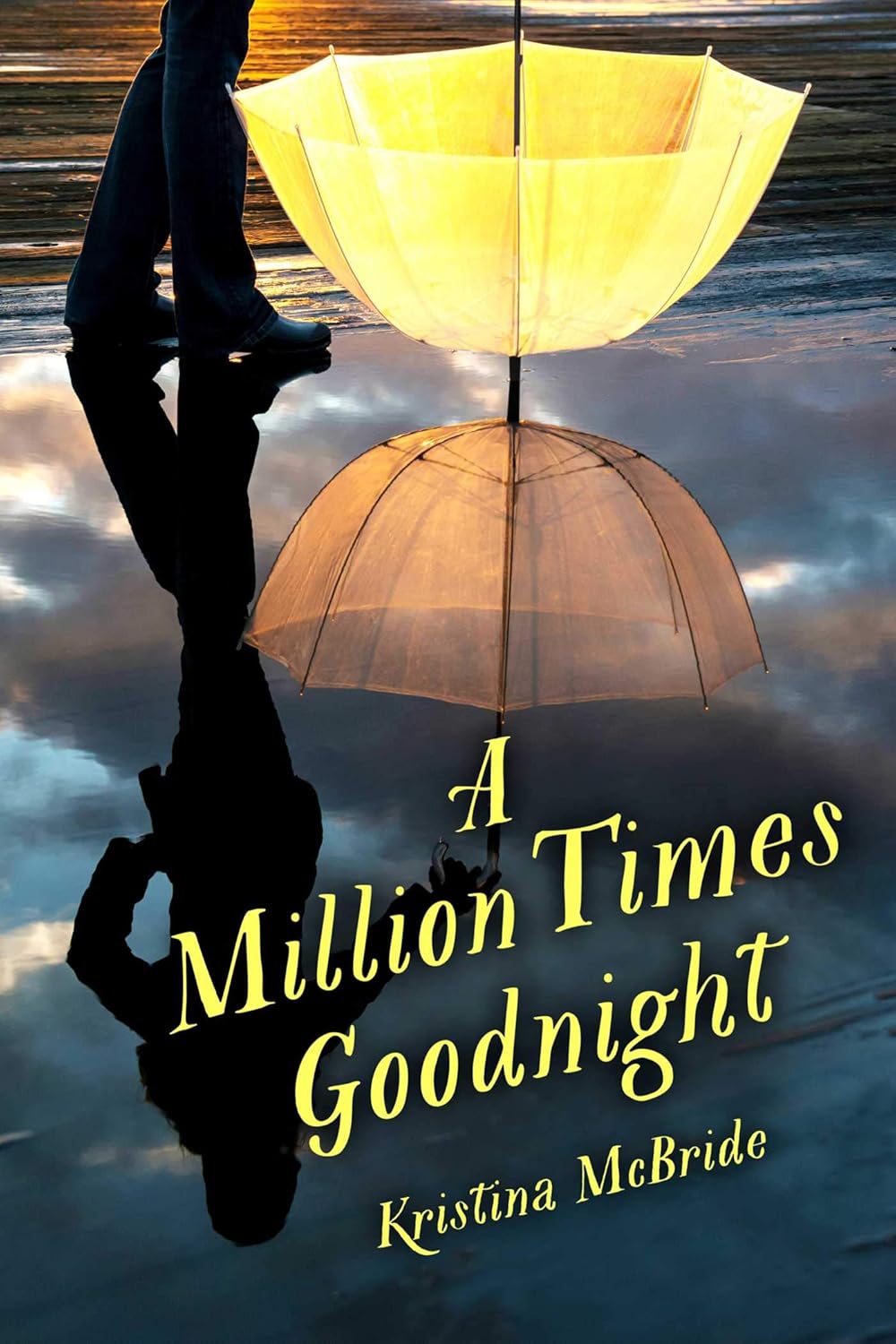 A Million Times Goodnight      Kindle Edition
