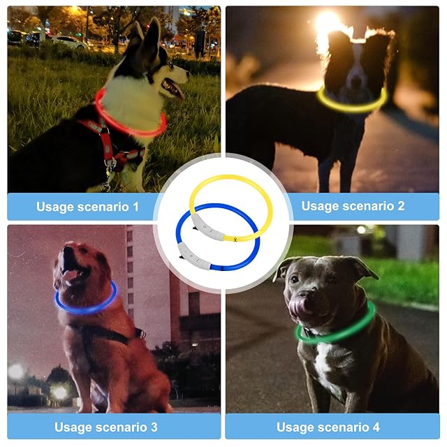 Foto 7 de 7 de 4 collares luminosos LED para perros, recargables, luminosos, impermeables, collar luminoso para perros