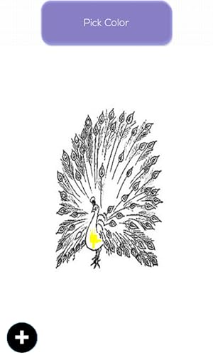 Birds Coloring Book Vol -2