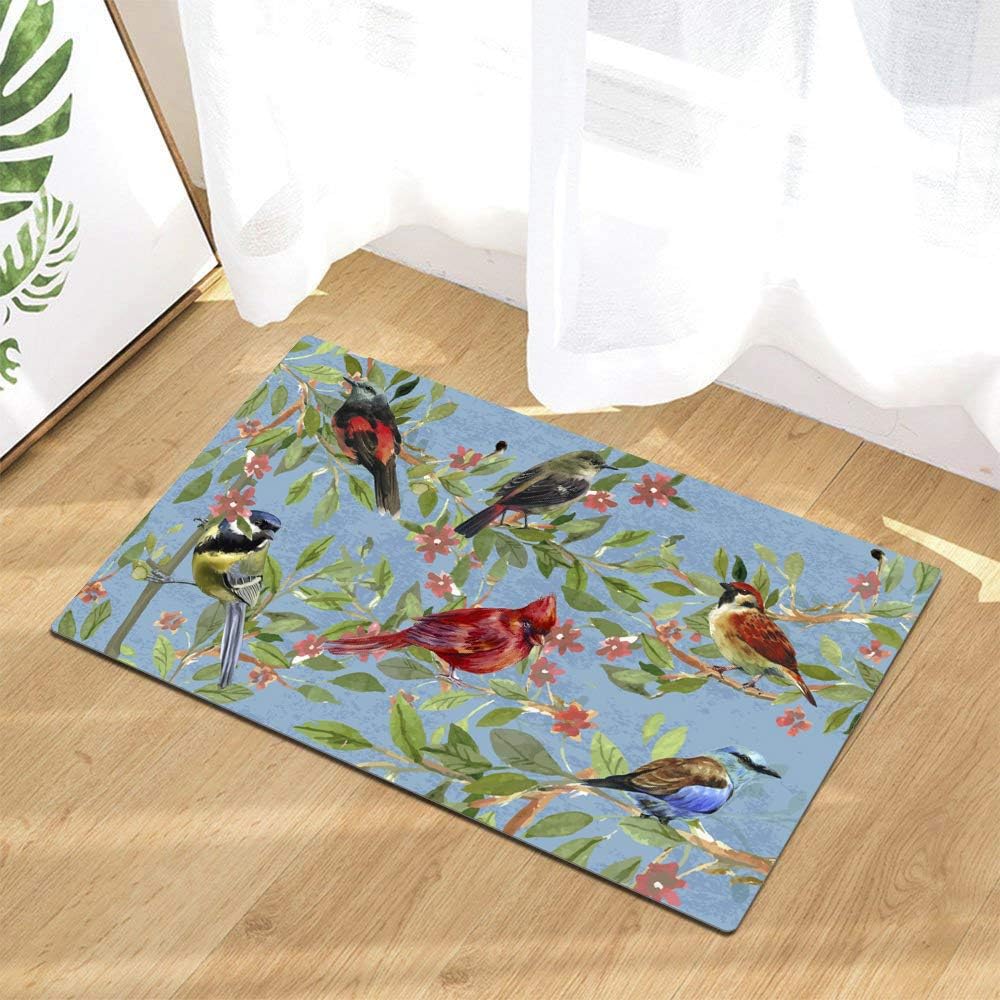 Spring Welcome Door Mat Non-Slip Doormat Decorative Floor Mats Indoor Outdoor Entrance Rug for Porch Entryway Front Door Home Decor (Bird)