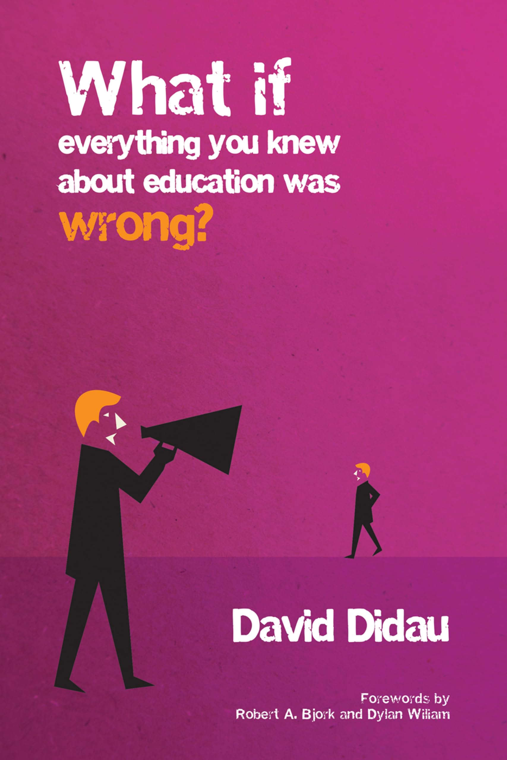 What If Everything You Knew About Education Was Wrong? (Paperback edition)