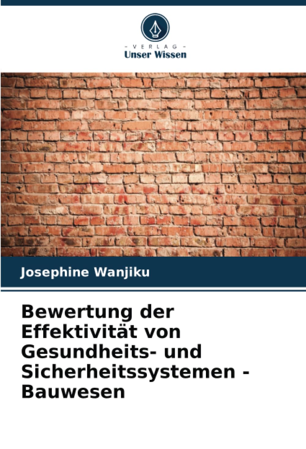 Bewertung der Effektivität von Gesundheits- und Sicherheitssystemen - Bauwesen