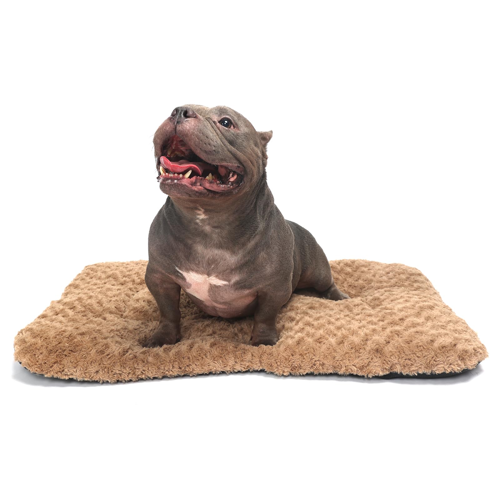 Dog Crate Pad Washable Deluxe Plush Dog Crate Beds Comfy Kennel Pad Anti-Slip Pet Sleeping Mat for Large Dogs Breeds Brown 35 x 22 x 1.5 inch