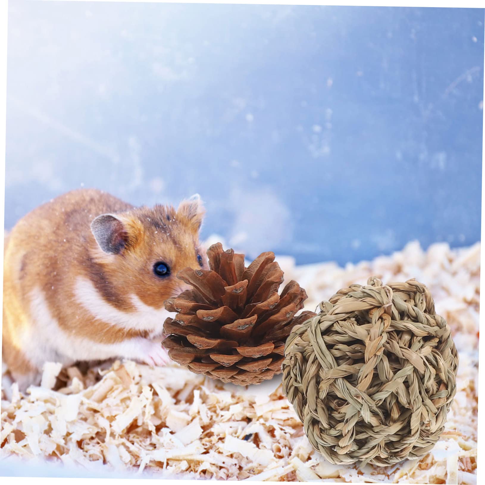 INOOMP 15stücke Teiliges Set Natürlichen -kauspielzeugen Für Hamster Und Meerschweinchen Für Zahnpflege Und Beschäftigung Für Kleine Haustiere Wie Kaninchen Und Nager