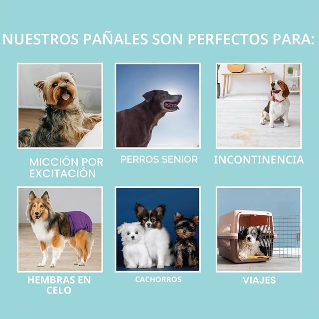 Foto 5 de 7 de Simple Solution Reutilizables Lavables para Pañales Perra Hembra, Absorbentes con Ajuste a Prueba de Fugas