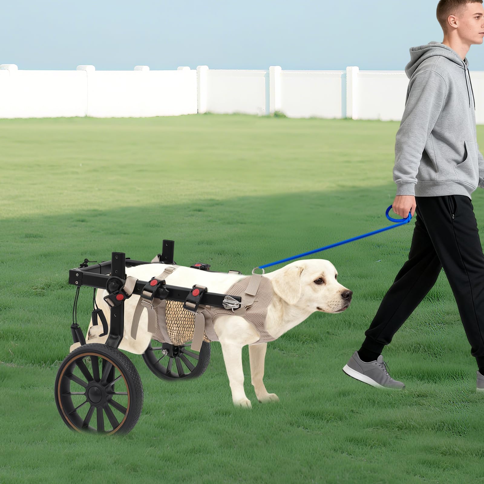 Fauteuil roulant léger à 2 roues pour animaux de compagnie jusqu'à 65 kg, hauteur, largeur et longueur réglables, chariot pour chien avec roues amortissantes, aide à la rééducation pour chiens blessés