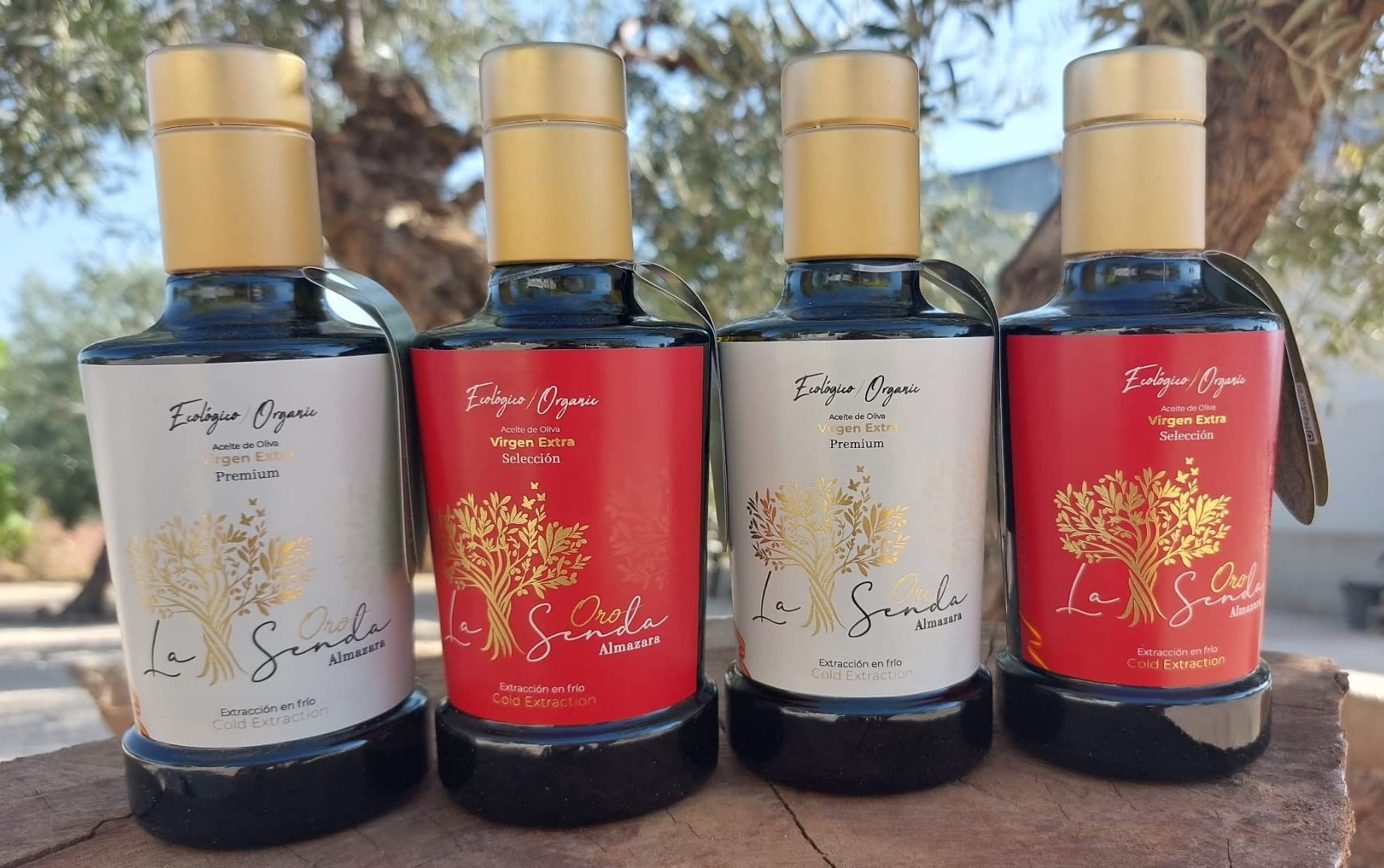 Pack 4 Botellas Aceite de Oliva Virgen Extra Ecológico (1L) - 2 Premium Y 2 Selección Centenaria | AOVE Coupage Cornicabra y Picual, Extracción al Frío | Pack Aceite Gourmet Ideal para Regalo