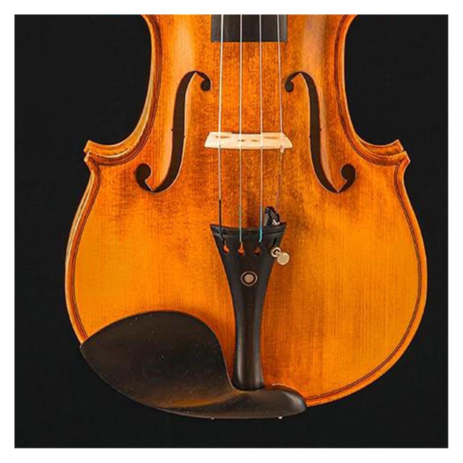 Praktische Violine 4/4 Stabile Violine