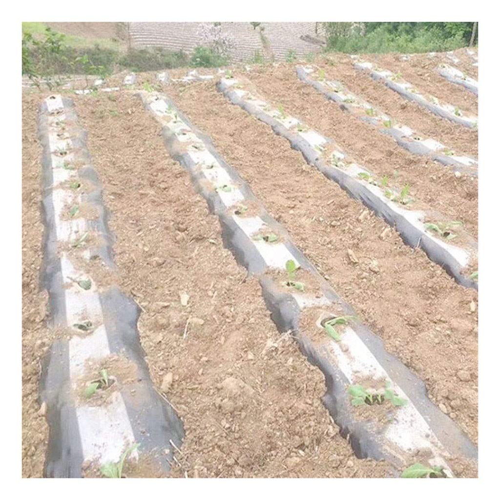 FIDALIKA 5m 2-Rows White Agriculture Black Film, Vegetable Planting Plastic Mulching Film, For Plants Pest Weed Control Keep Warm Grow Film (Size : Width 1.0m)