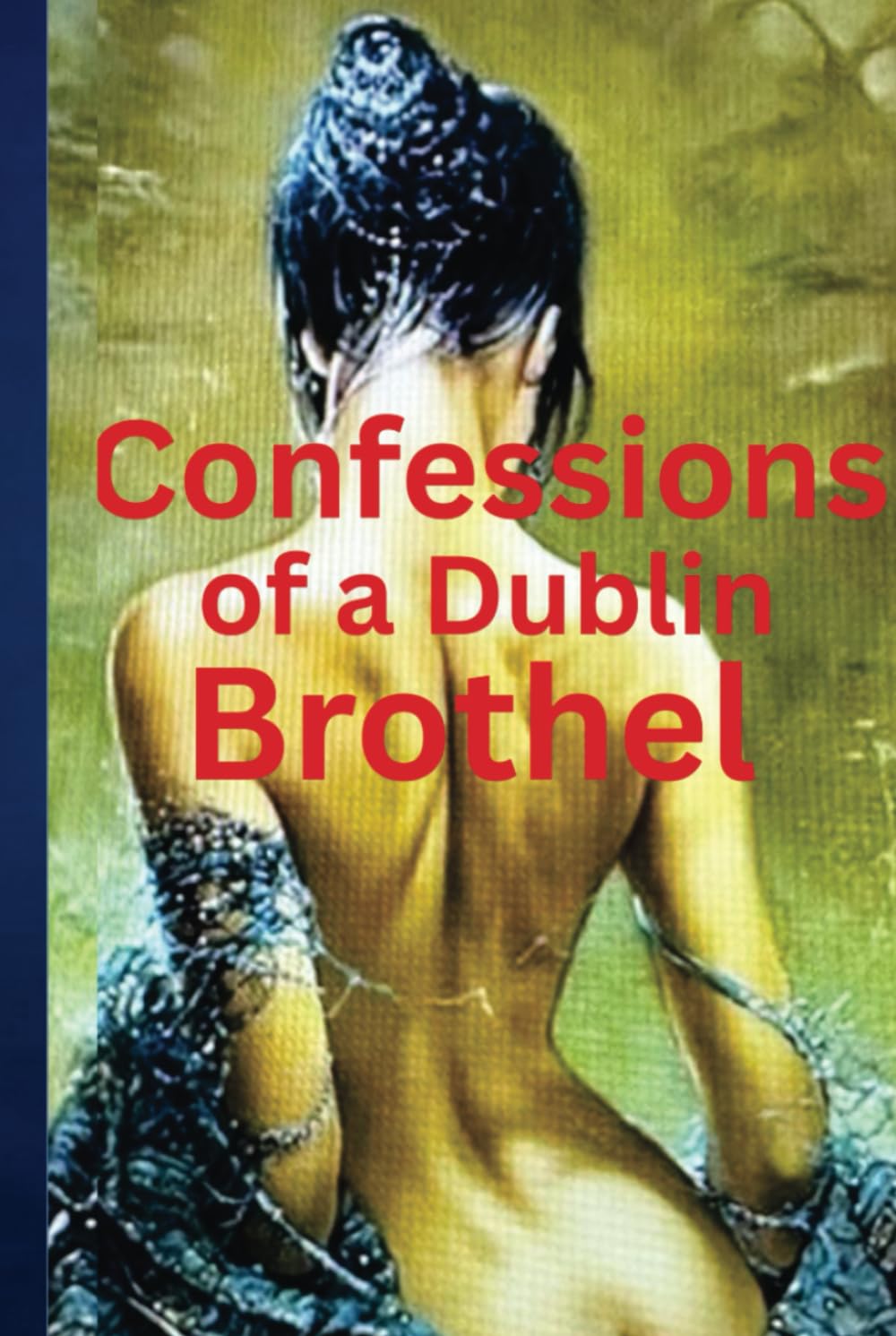 Confessions of a Dublin Brothel