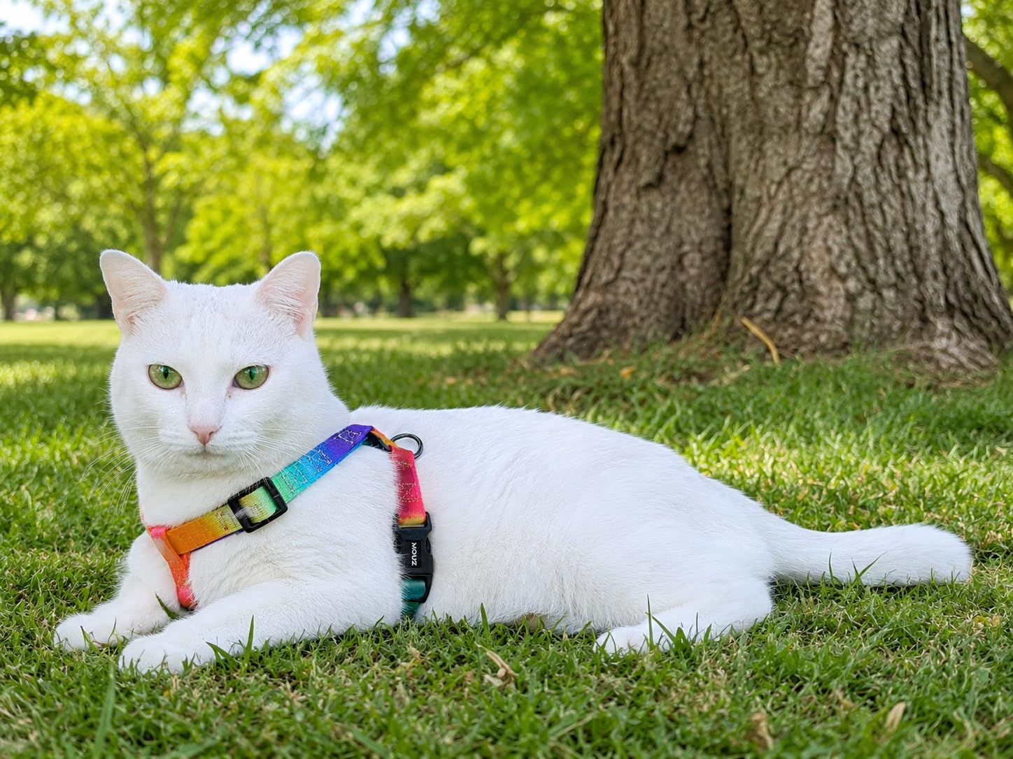 MOUZ Arnés para Gatos y Perros pequeños, Ajustable en Forma de H con Correa, antiescape, Ligero y Suave, Uso fácil, para Viaje. Talla única.