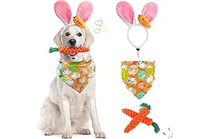 Dorakitten Dog Easter Costume: Carrot Fun for Your Furry Pals!