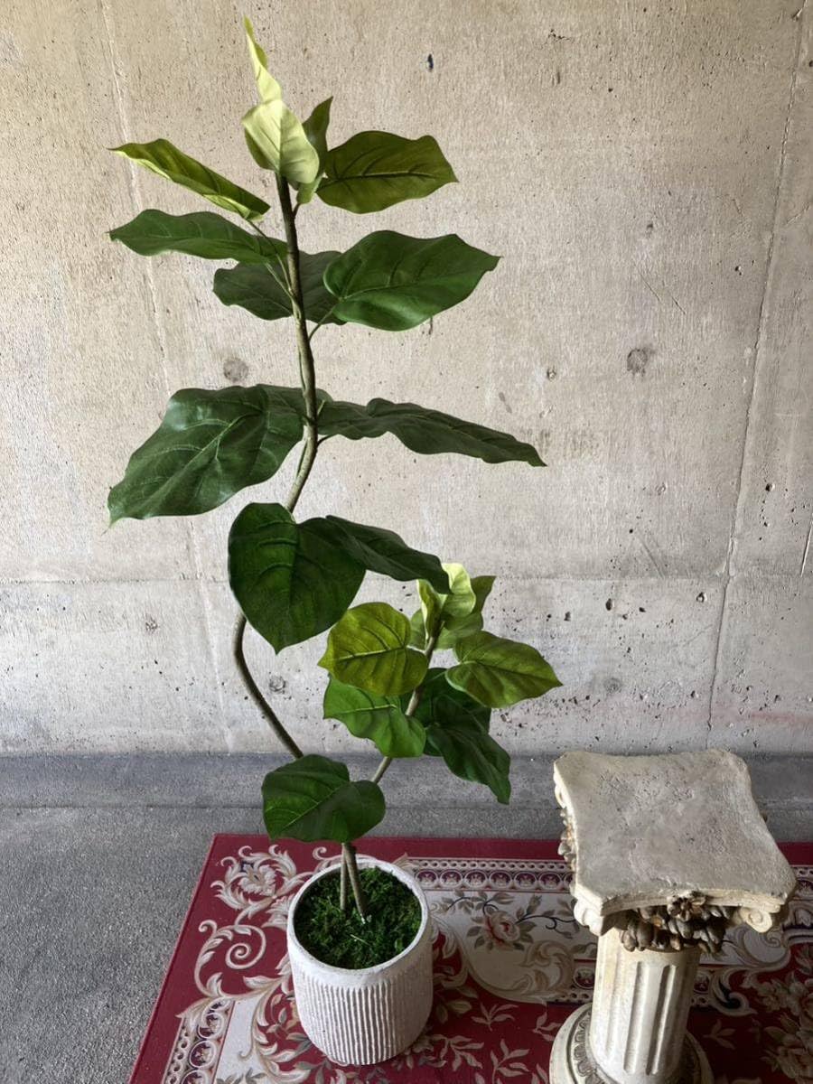 光触媒　人工観葉植物　ウォールグリーン　フェイクグリーン　ダブルウンベラータ11 光触媒 人工観葉植物 ウォールグリーン フェイクグリーン