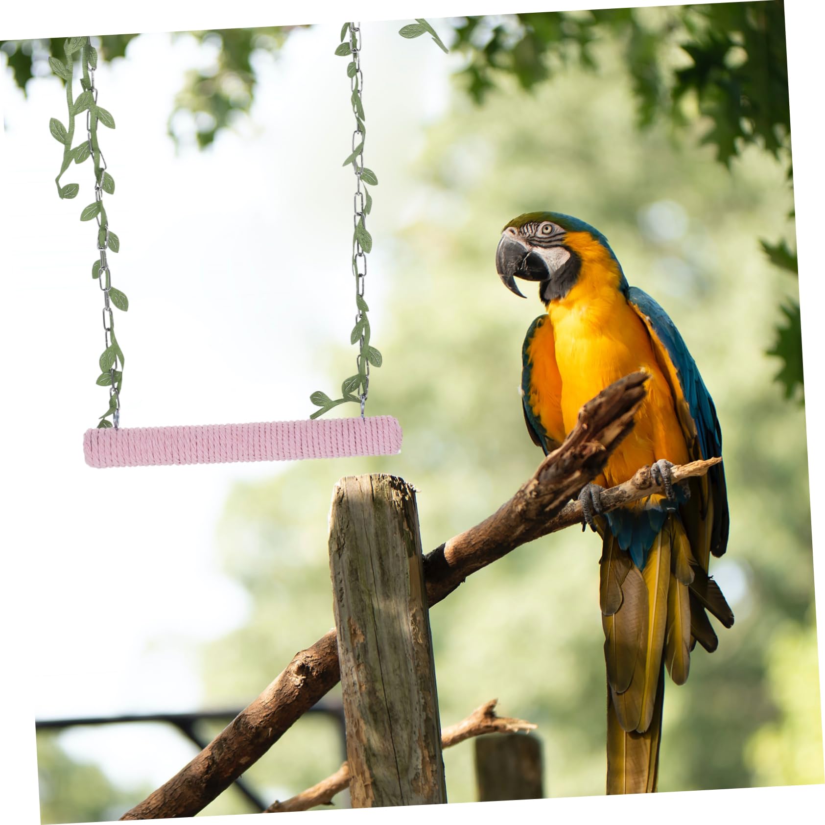 VANZACK 5pièces Balancoire Bois pour Oiseaux Perchoir Suspendu Bois pour Perruches Perroquets Et Cacatoès Jouet Activité Naturel pour Cage à Oiseaux