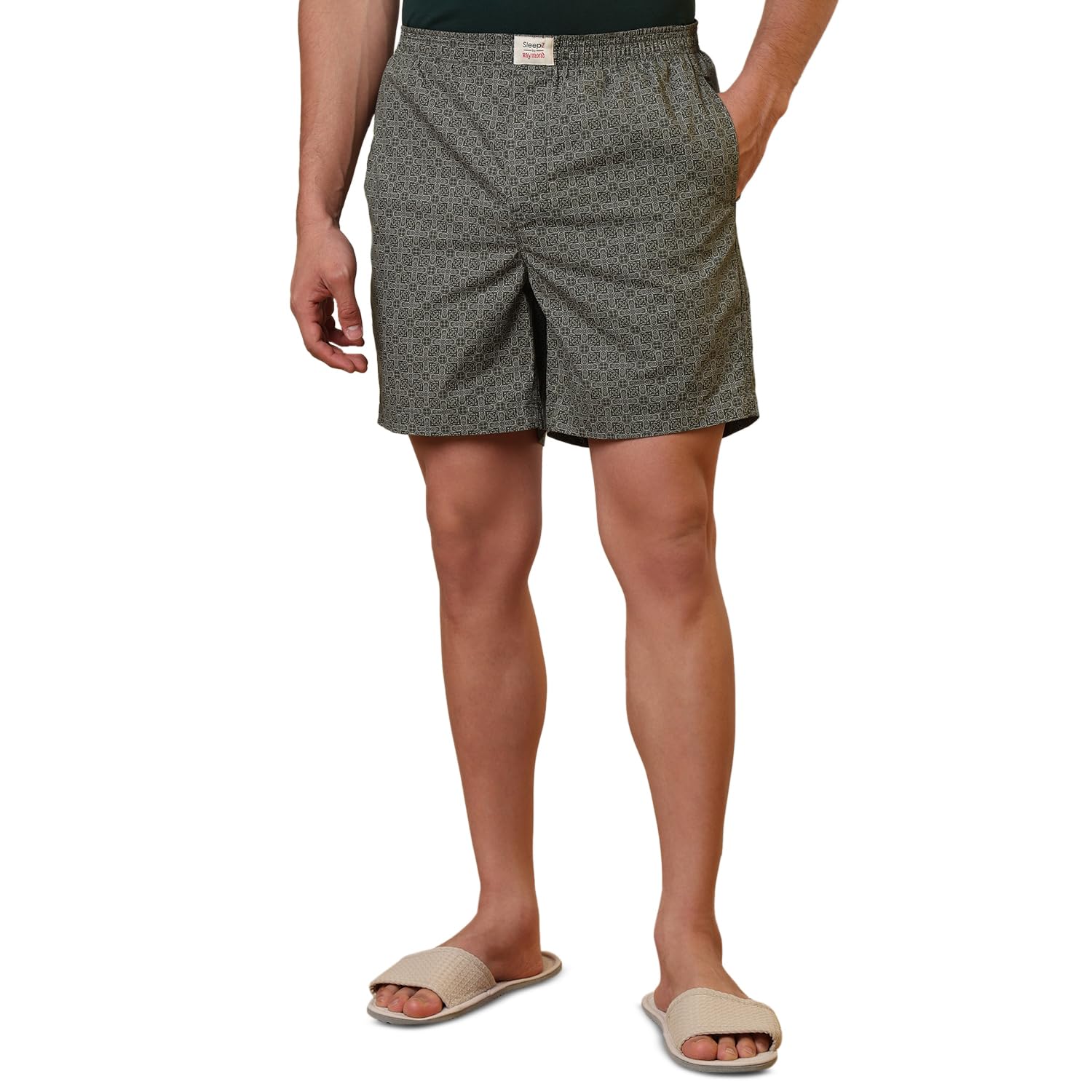 sleepz by raymond Men Flat Front Regular Fit Print Pattern Pure Cotton Boxer-picture-45