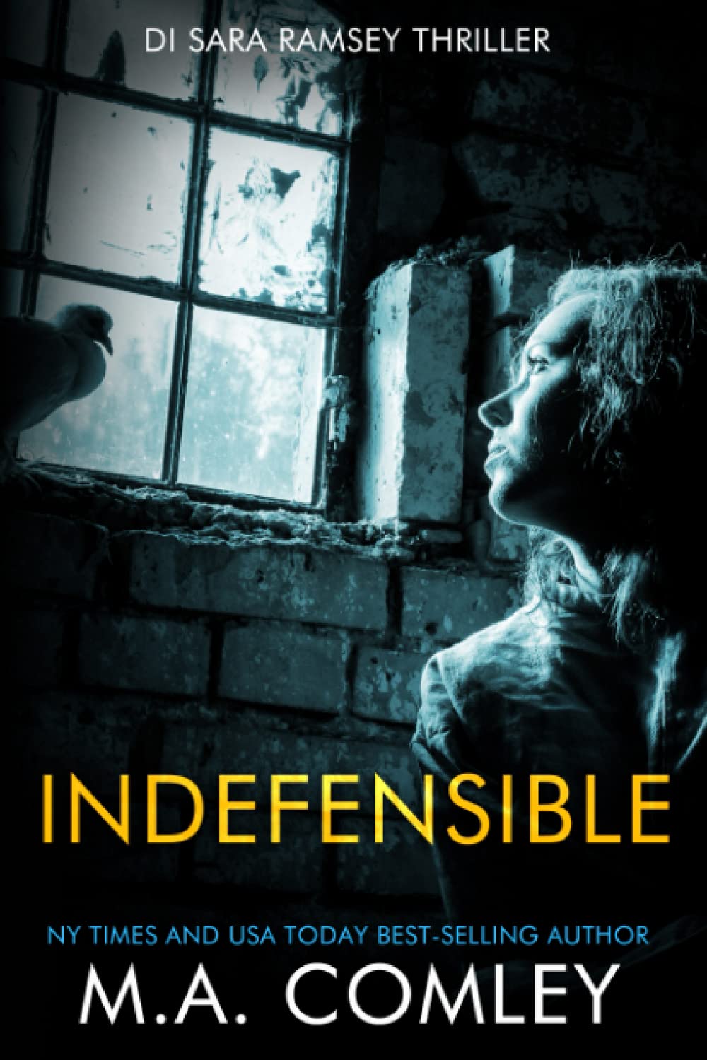 Indefensible: 12 (DI Sara Ramsey)