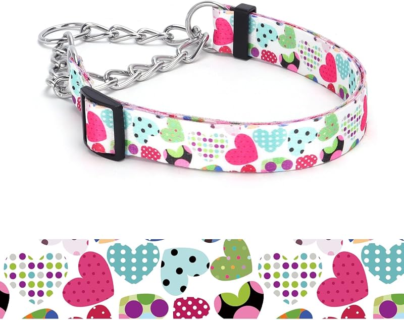 Coleira Martingale para Cães com Corrente de Aço Inoxidável e Estampa Floral haoyueer (Tamanho 4, L)