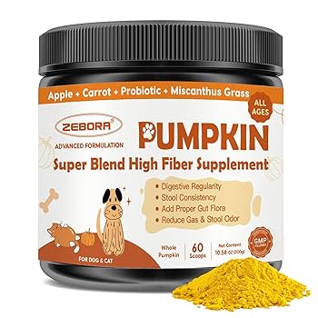 Does Pumpkin Help Cats With Diarrhea: Natural Relief Explained