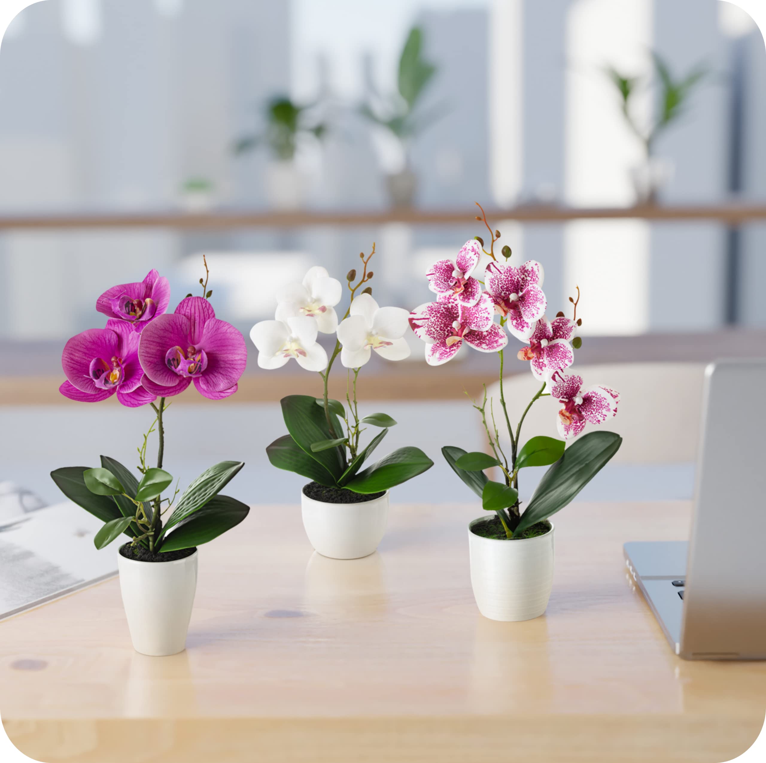 PASCH® Kunstblumen im Topf (35cm) - 3er Set Orchideen künstlich abgestimmtes Arrangement in Hochglanz-Keramiktöpfen, Deko Blumen künstlich, künstliche Orchideen (Weiß-Rosé)