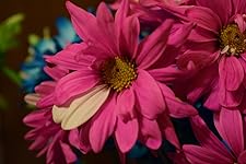 Review Image by KRGraphics KRGraphics