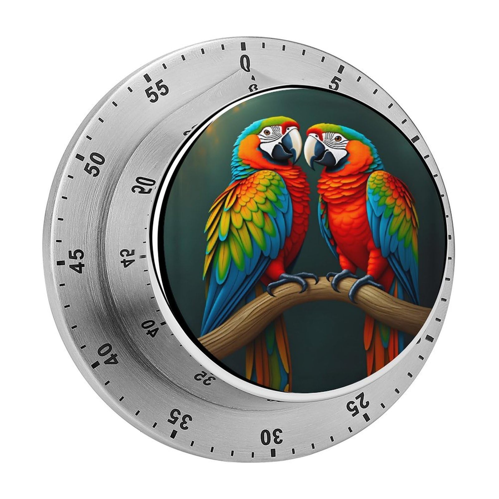 Couple Parrots Pattern 60 Minute Wind Up Timer,Visual Mechanical Magnetic Timer with Loud Alarm for Kitchen