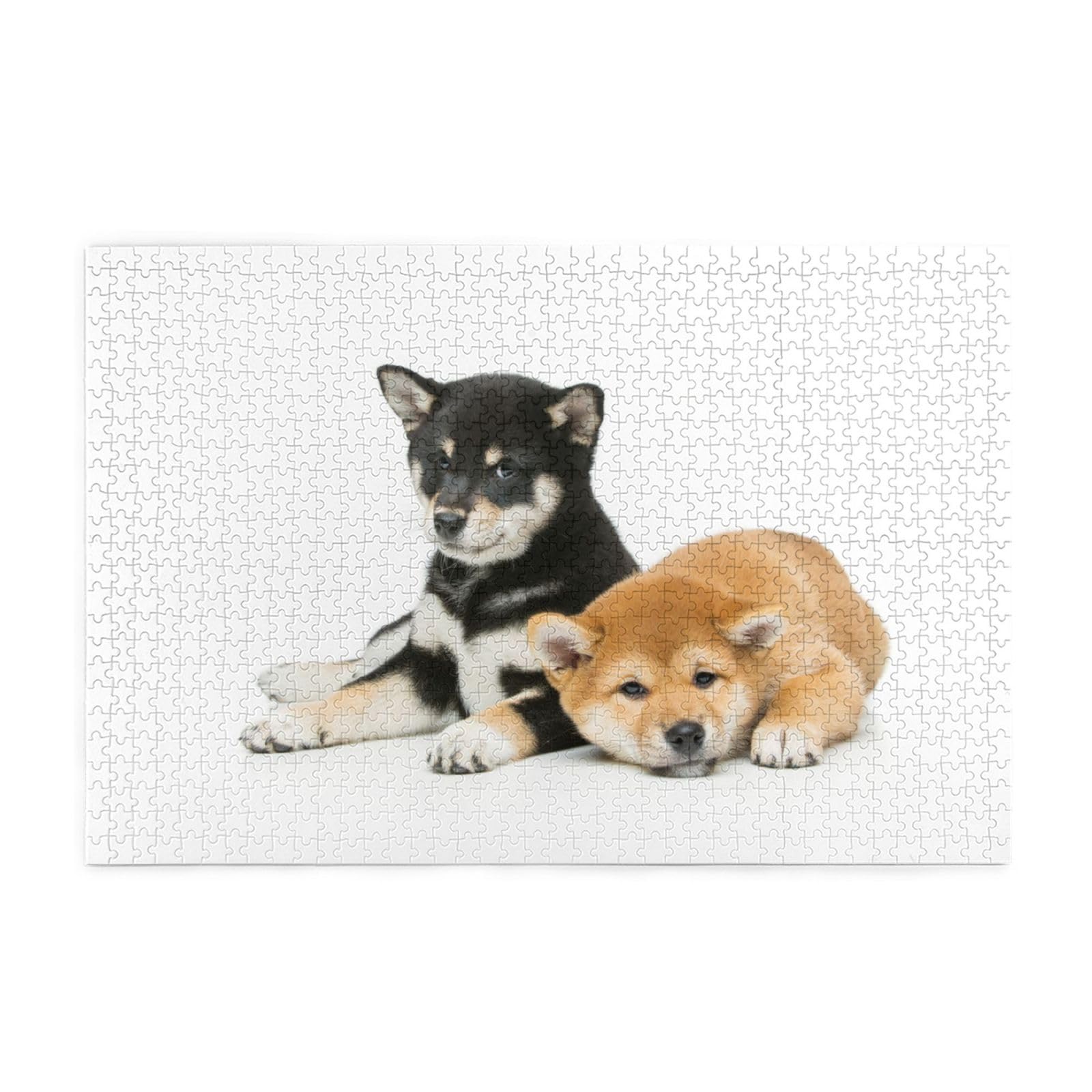 puppyページ Amazon.co.jp: L185 Puzzle, Shiba Inu, Dog, Dog Pattern, Fun