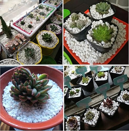 Miniatura 3 de Piedras decorativas, piedras de vidrio, 1 libra aproximadamente 16.23 oz, piedras de cristal de mar irregulares, piedras de cristal artificiales