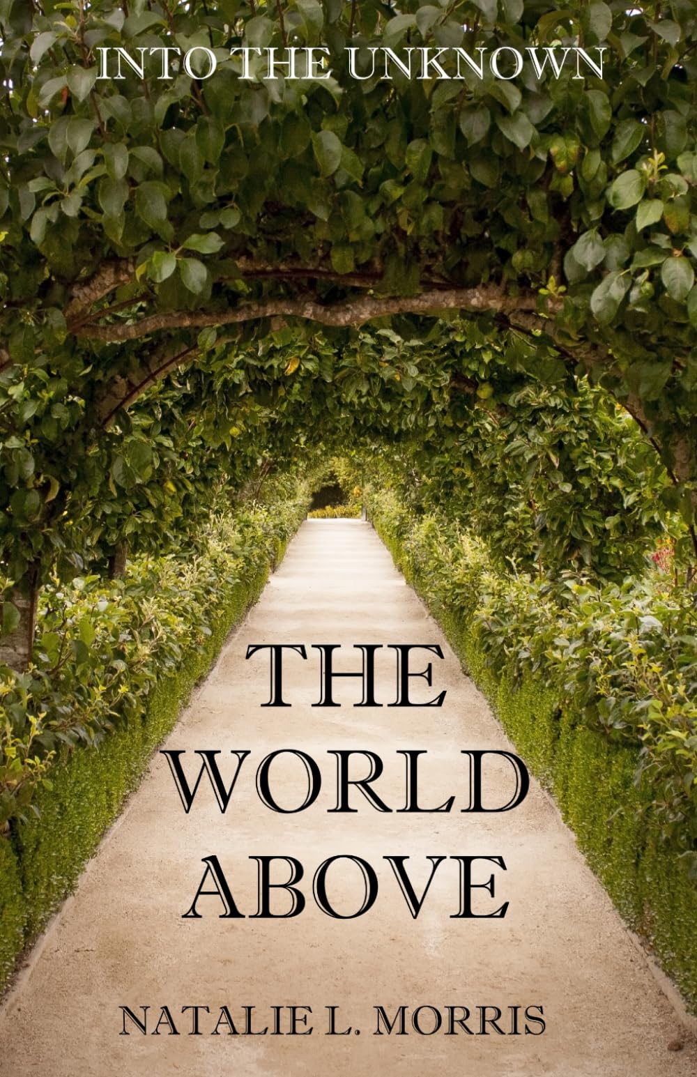 The World Above (THE WORLD BELOW)