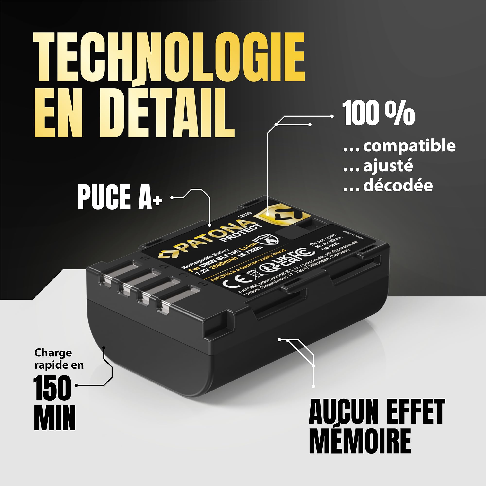 PATONA 2X Protect Batterie pour Panasonic DMW-BLF19 BLF19E, 2600mAh
