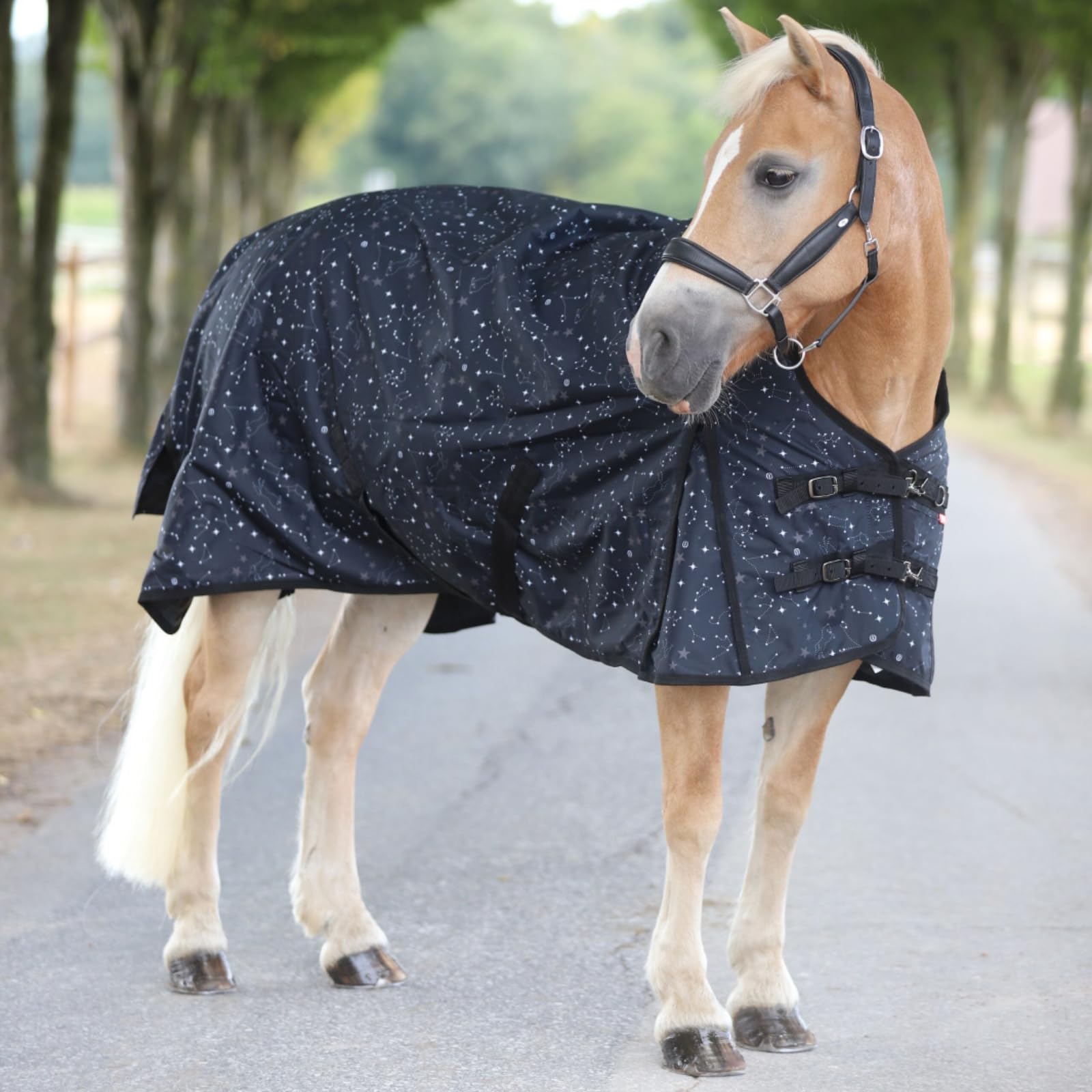 Imperial Riding - Outdoordecke 600D IRHSuper-Dry Stardust – als Regendecke, Übergangsdecke & Winterdecke – wasserdichte Weidedecke mit Fleece-Futter – Pferdedecke in Schwarz – 125cm