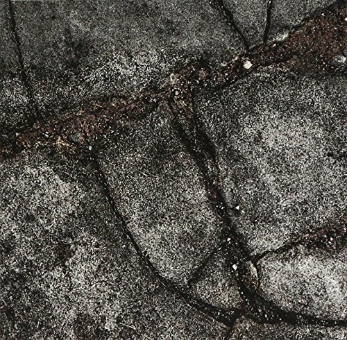 Price comparison product image Brood X