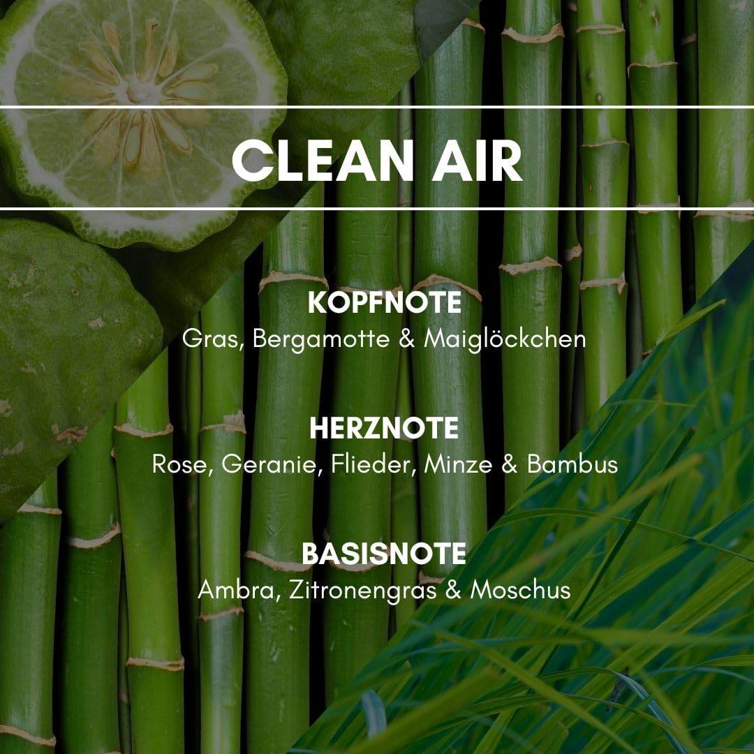 Duftspender Starter Set "Anti-Smoke" | incl. Raumsprays "Fresh Office" und "Clean Air" | Raumdüfte von REIMA | mit Geruchsabsorber | Farbe: Business