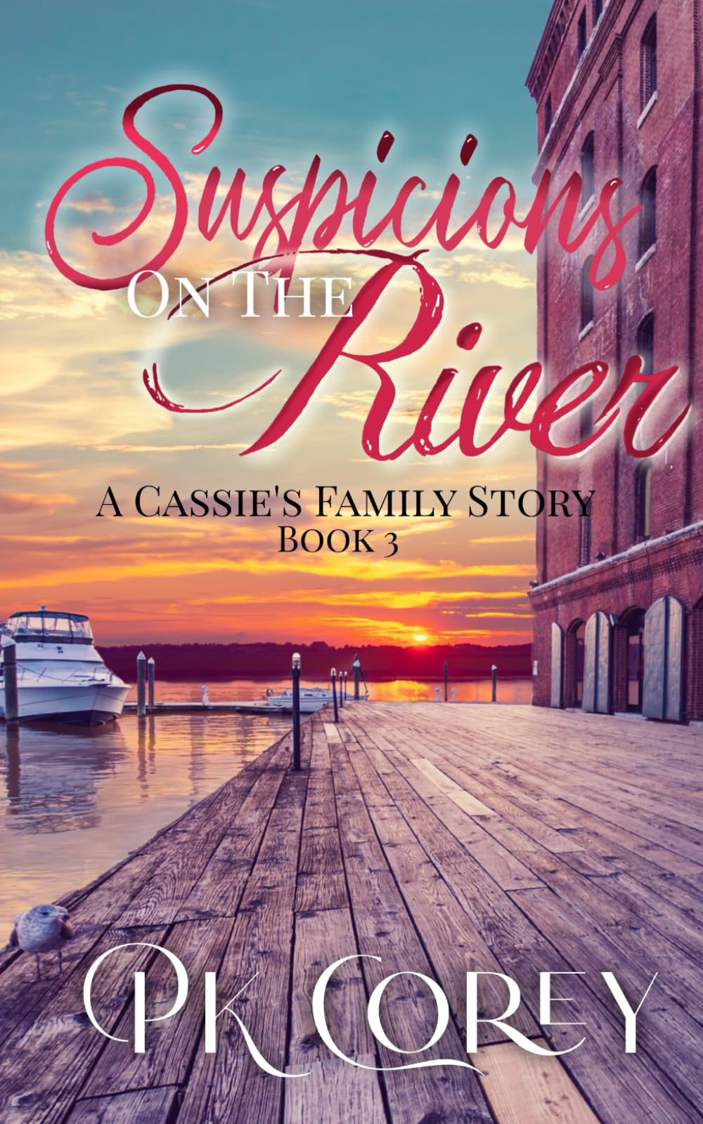 Suspicions On the River: A Cassie's Family Story