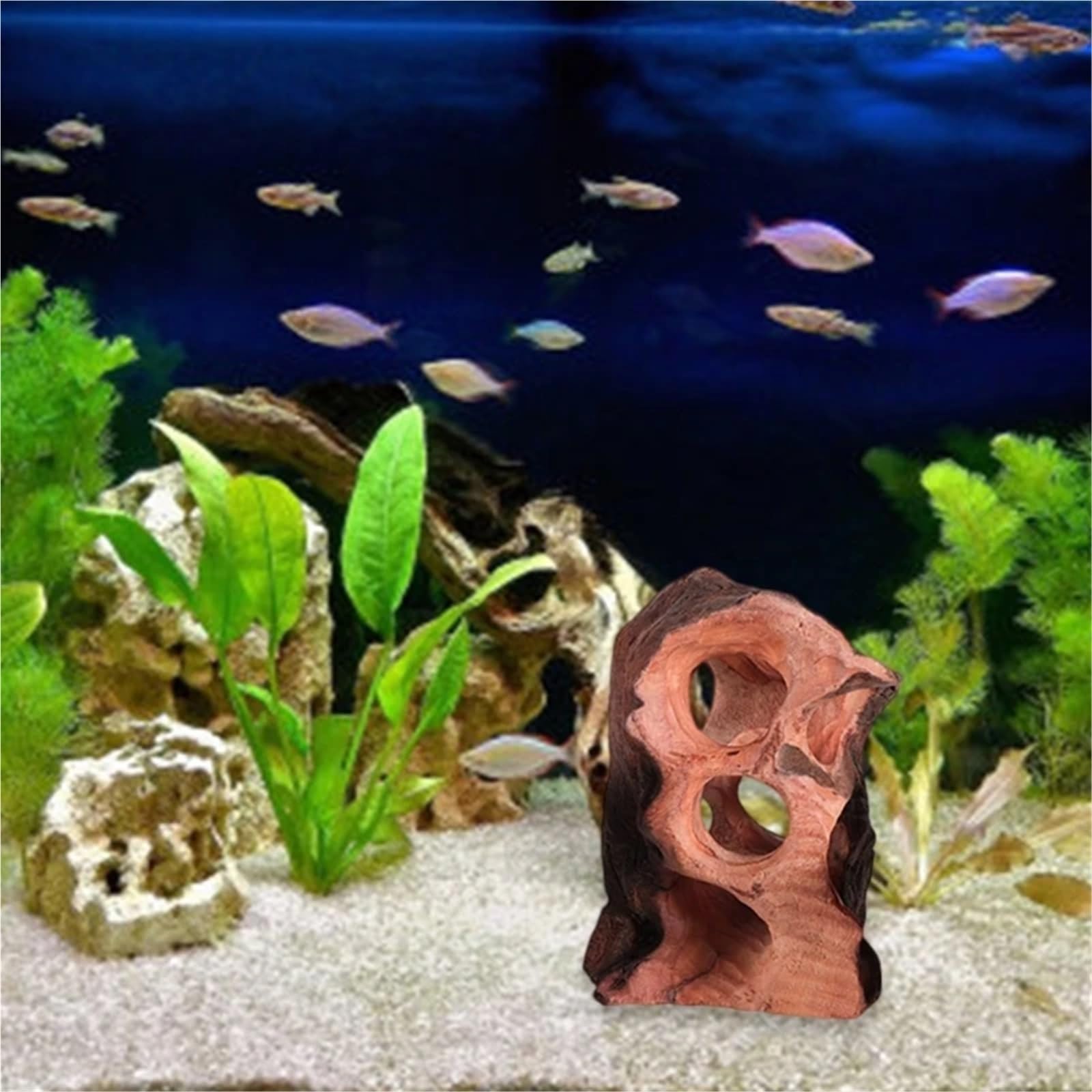 Legno Galleggiante per Acquario Decorazione for Acquario in Legno Galleggiante, Ceppo di Albero in Legno, rifugio for Acquario, Grotta for Pesci e rettili, Stili Casuali