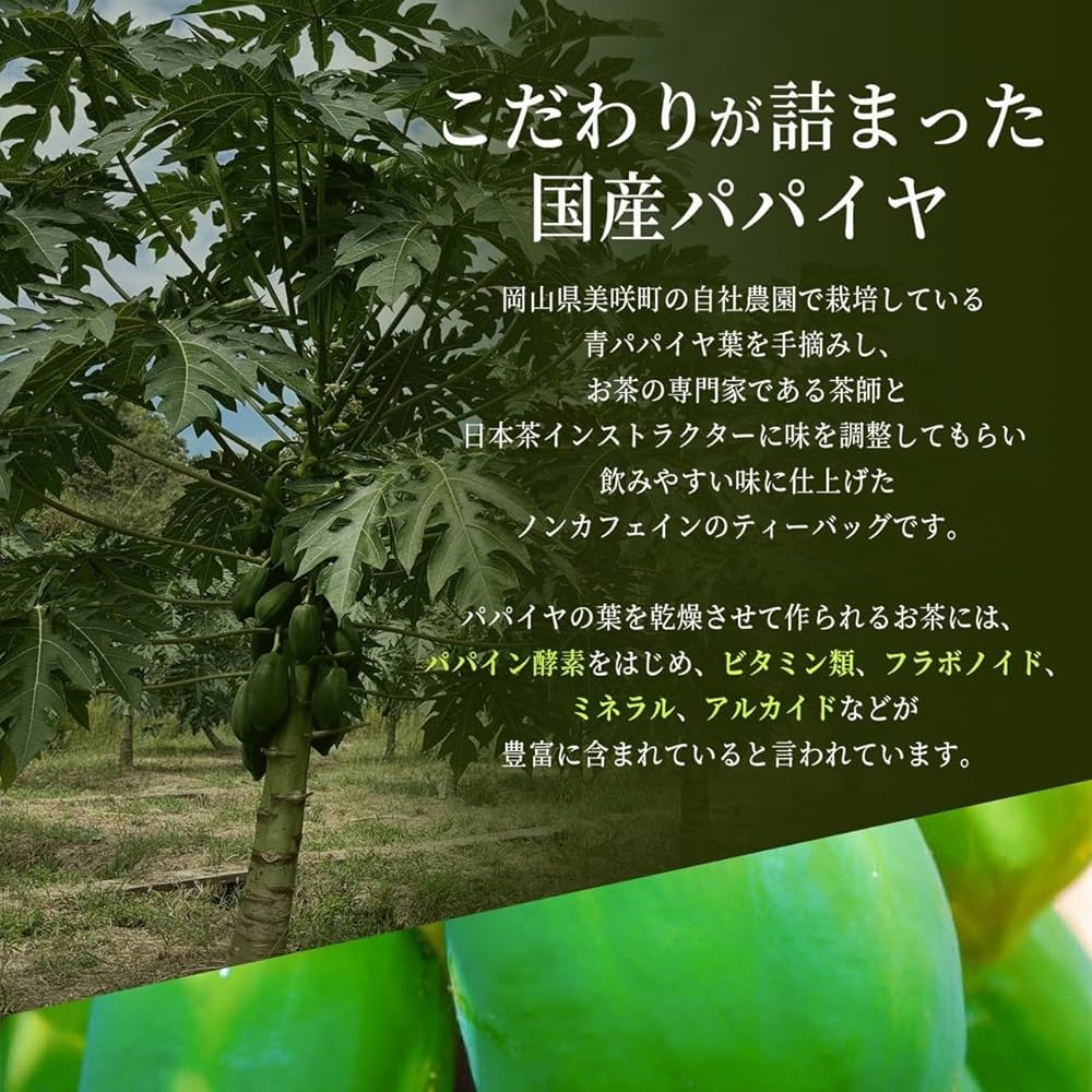 青パパイヤ茶 300g 山梨県産 青パパイヤ茶 300g 山梨県産