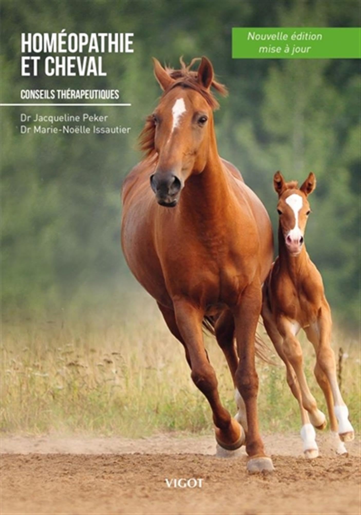 Homéopathie et cheval: Conseils thérapeutiques