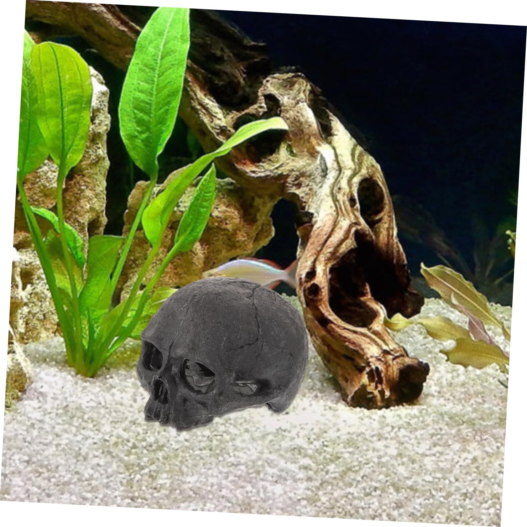 OUNONA Lot De 4 Têtes De Mort Décoratives pour Aquarium Tête De Mort Sirène Lézard Poissons Tropicaux Accessoires pour Aquarium Faux Reptiles Squelette en Résine Noire