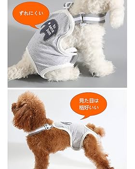 ワンちゃん用のおむつカバー2つ♡46cm&42cm Amazon | WININMETA 犬用おむつカバー 犬 男の子 おむつ 女の子
