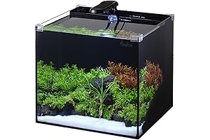 5-Gallon Fish Bowl: A Pristine Underwater Haven for Betta and Small Fish